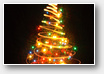 xmas tree (lights) on the black background