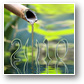 2010 et fontaine bambou zen