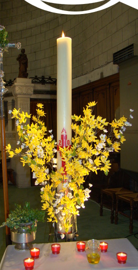 DSC01666
